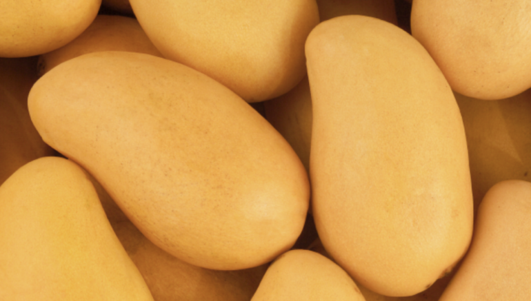 Historia del Mango Ataúlfo- Mangonik Snacks Saludables