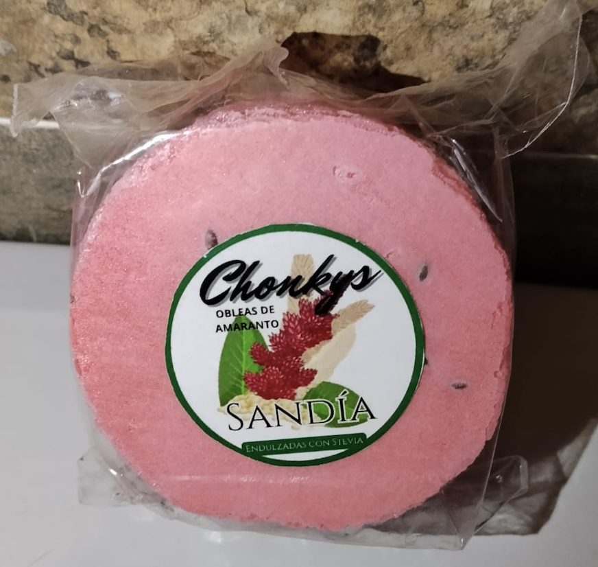 Snacks Saludables
